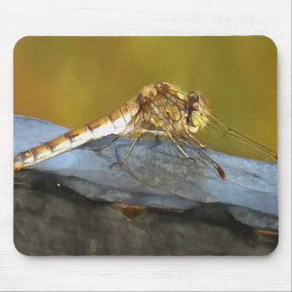 Resting Ochre Brown Dragonfly Realistic Painting Mouse Mat