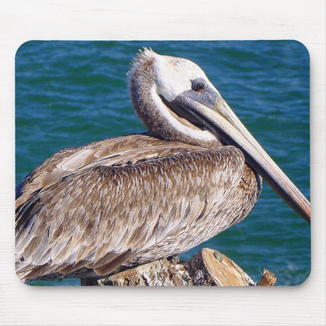 Resting Pelican Mouse Pad (Front)