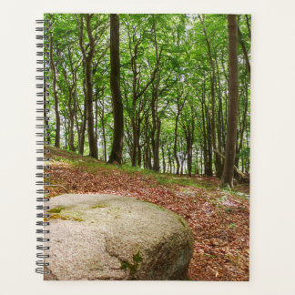Resting Place Beech Forest Planner