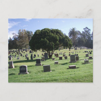 Resting Places Postcard