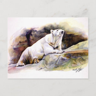 Resting Polar Bear Postcard