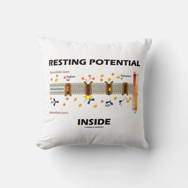 Resting Potential Inside (Sodium-Potassium Pump) Cushion (Front)