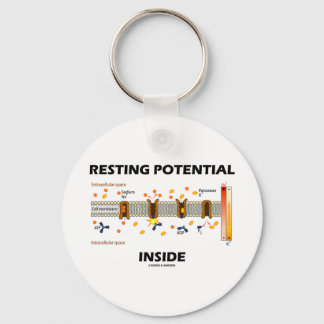 Resting Potential Inside (Sodium-Potassium Pump) Key Ring