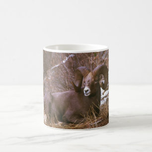 Resting ram coffee mug