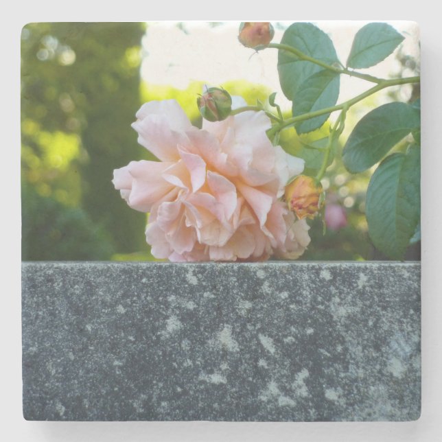 Resting Rose Marble Coaster (Front)