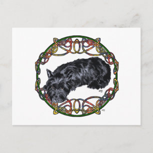 Resting Scottie Celtic Knotwork Postcard