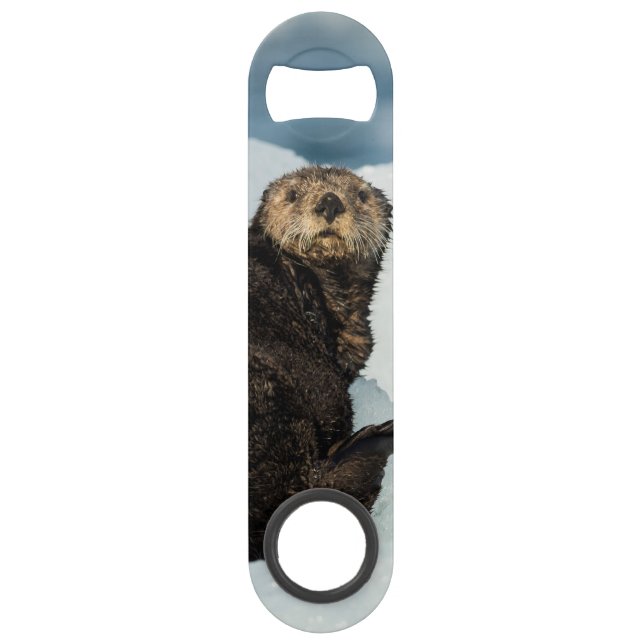 Resting Sea Otter (Front)