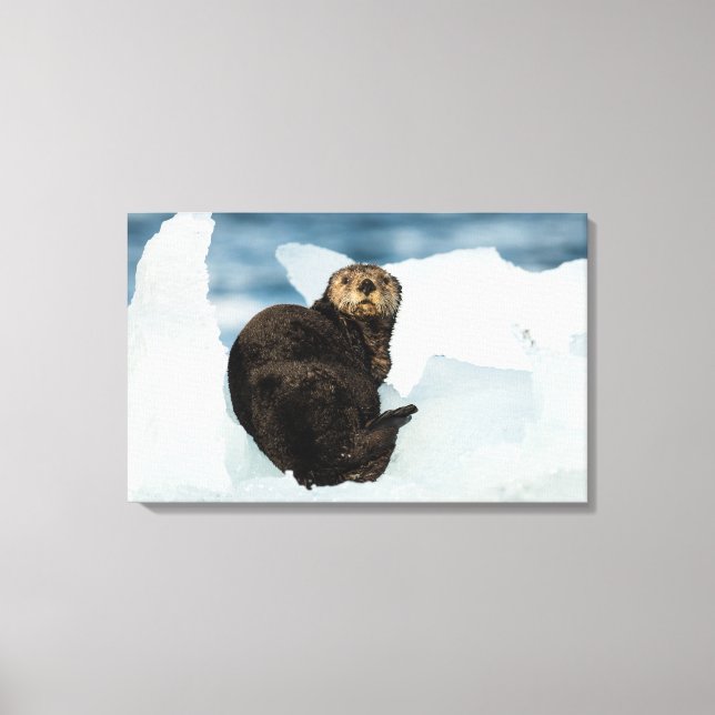 Resting Sea Otter Canvas Print (Front)