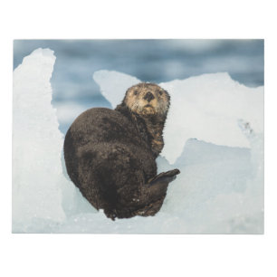 Resting Sea Otter Notepad