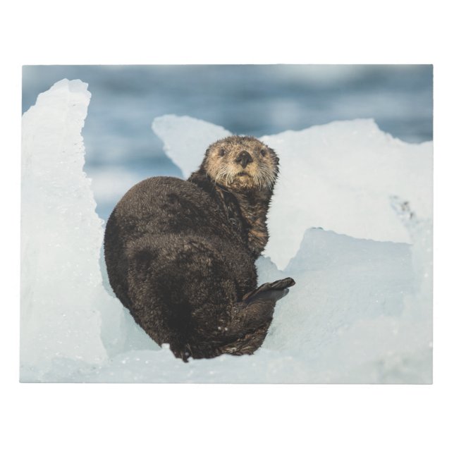 Resting Sea Otter Notepad (Front)