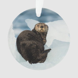Resting Sea Otter Ornament