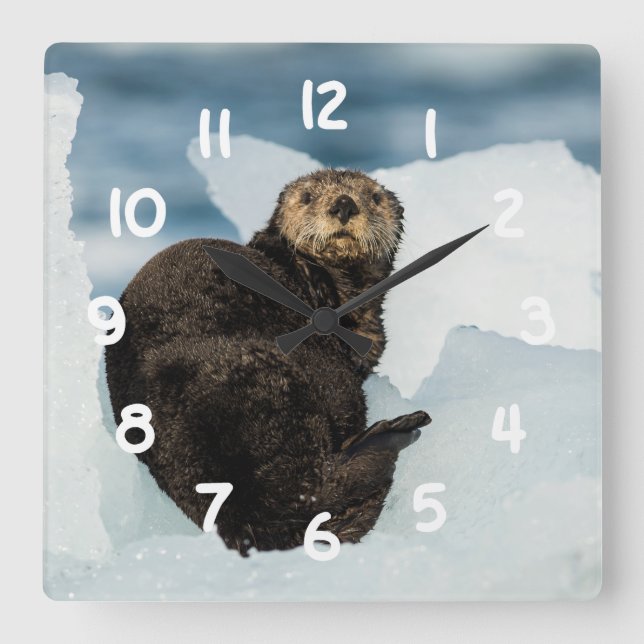 Resting Sea Otter Square Wall Clock (Front)