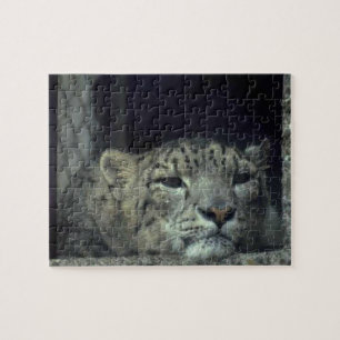 Resting Snow Leopard Jigsaw Puzzle