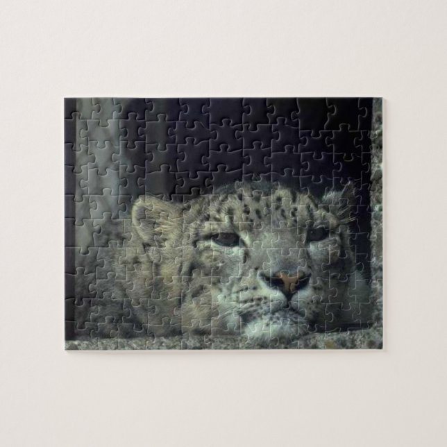 Resting Snow Leopard Jigsaw Puzzle (Horizontal)