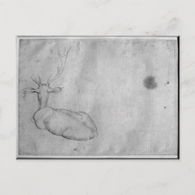 Resting stag postcard (Front)