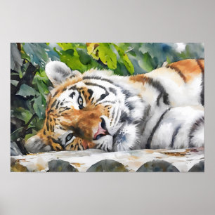 Resting Tiger Portrait Poster