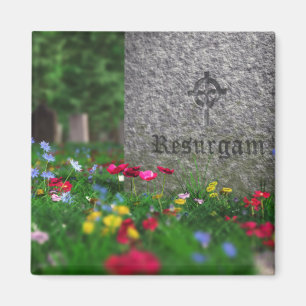 Resurgam Magnet