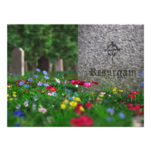 Resurgam Photo Print