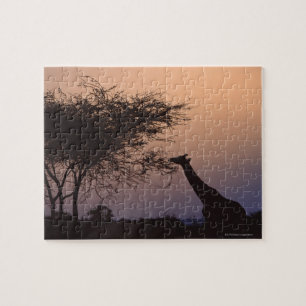 Reticulated Giraffe 2 Jigsaw Puzzle