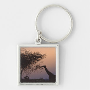 Reticulated Giraffe 2 Key Ring