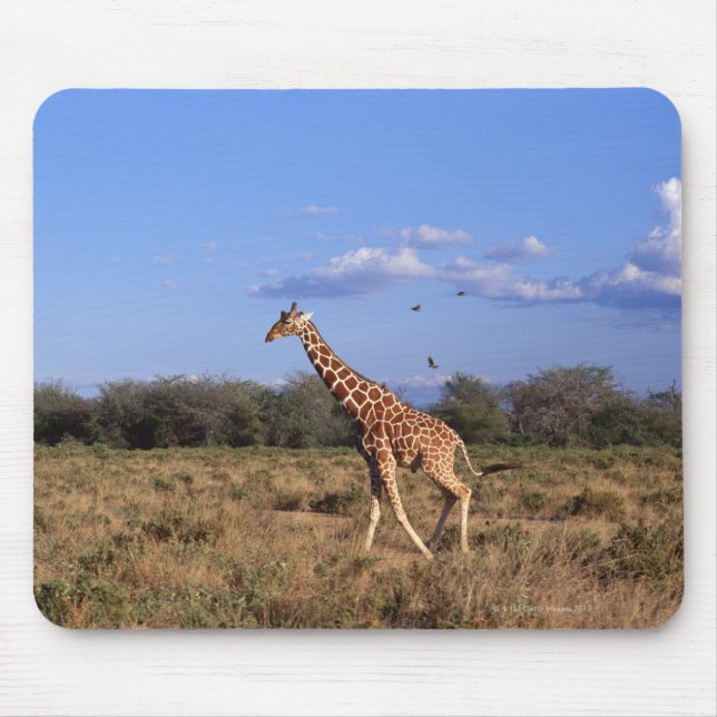 Reticulated Giraffe 2 Mouse Mat (Front)