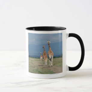 Reticulated Giraffe (Giraffa camelopardalis) 2 Mug