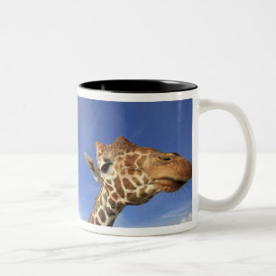 Reticulated Giraffe (Giraffa camelopardalis) Two-Tone Coffee Mug