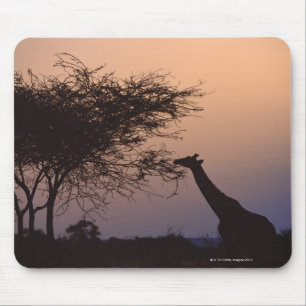 Reticulated Giraffe Mouse Mat