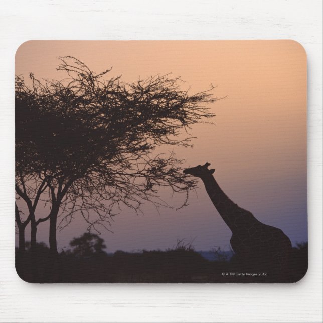 Reticulated Giraffe Mouse Mat (Front)