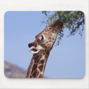 Reticulated Giraffe Mouse Mat