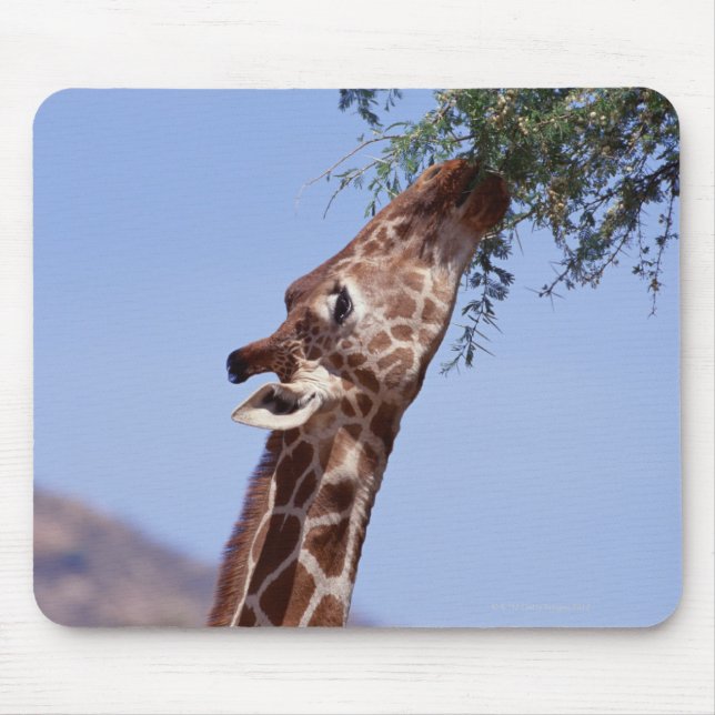 Reticulated Giraffe Mouse Mat (Front)