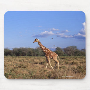 Reticulated Giraffe Mouse Mat