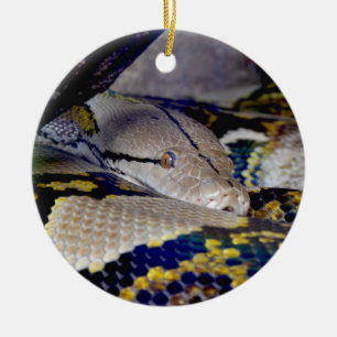 Reticulated Python Snake Ceramic Tree Decoration