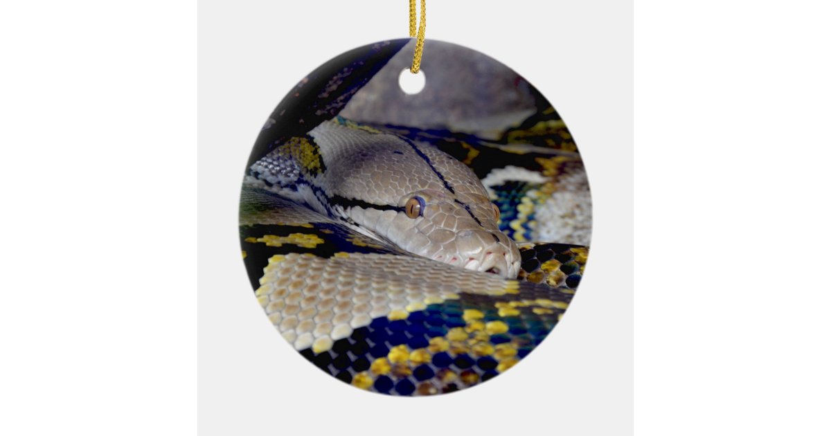 Reticulated Python Snake Christmas Ornament Zazzle.co.uk