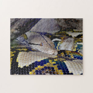 Reticulated Python Snake Jigsaw Puzzle