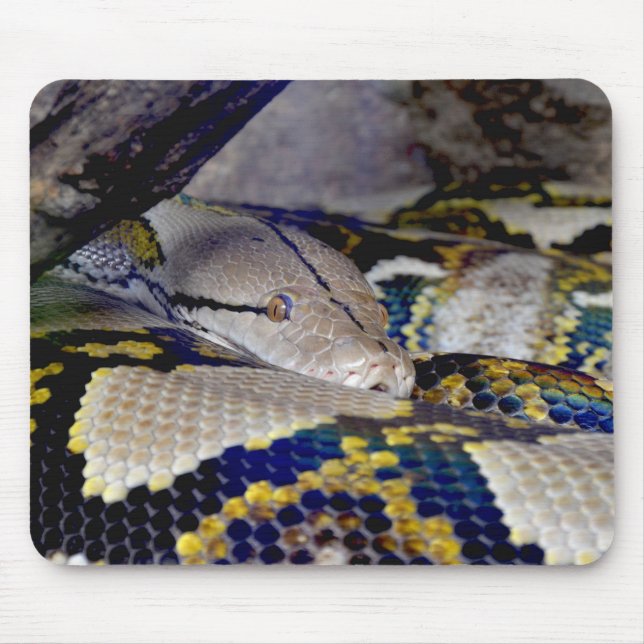Reticulated Python Snake Mouse Mat (Front)