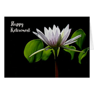 Retirement Card with White Water Lily