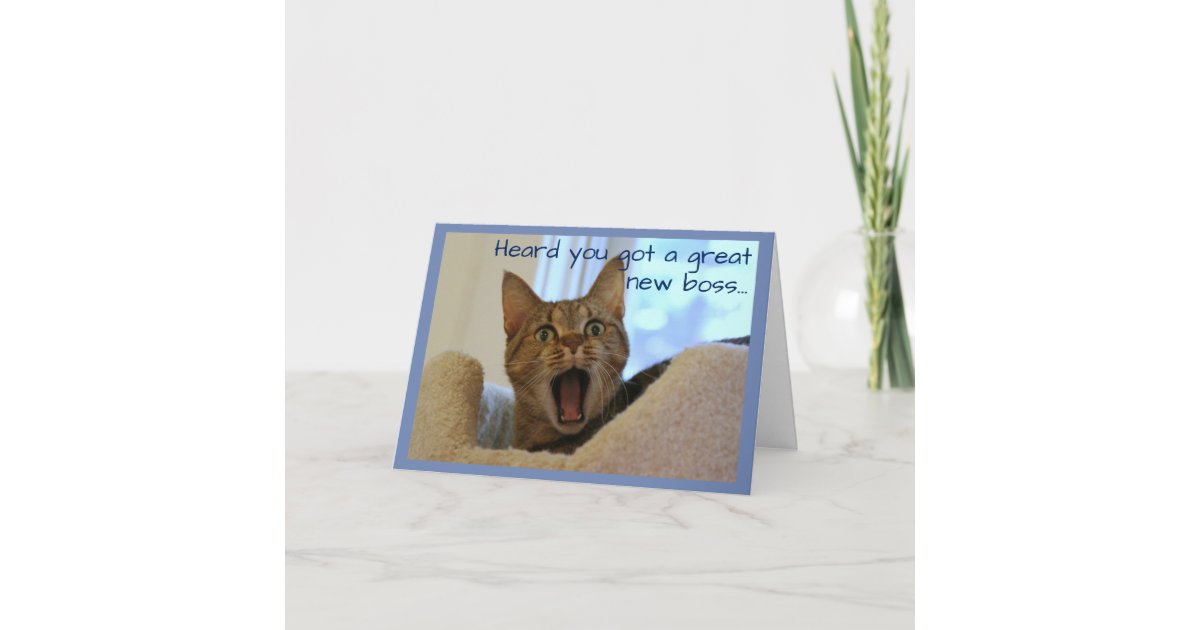 Retirement Cat is Very Happy Card Zazzle.co.uk