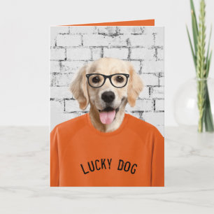 retirement golden retriever in t-shirt card
