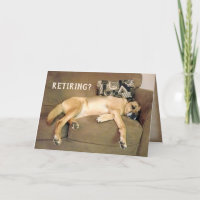 Retirement Hound Dog On Couch 