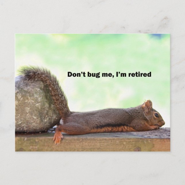 Retirement Humour Squirrel Postcard (Front)