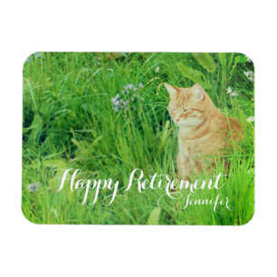 Retirement sleeping ginger cat in a meadow magnet