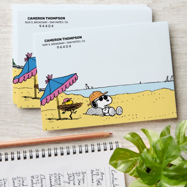 Retirement | Snoopy & Woodstock on the Beach Envelope (Stacked)