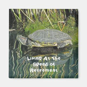 Retirement Turtle Photo with Reflection Nature Magnet