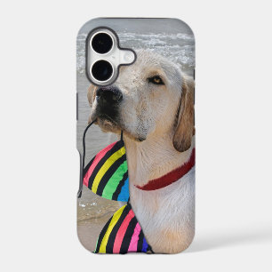 Retriever