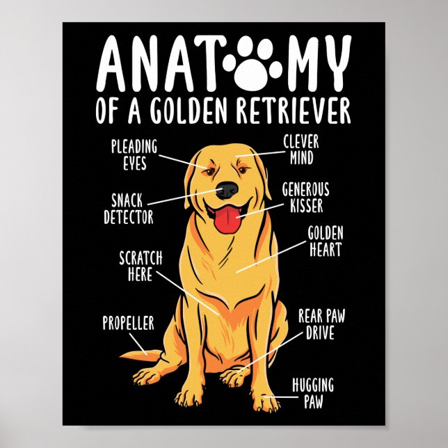 Retriever Dogs Anatomy of a Golden Retriever Mum Poster (Front)