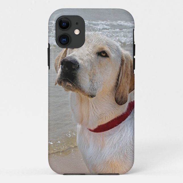 Retriever Eyes Case-Mate iPhone Case (Back)