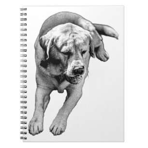 Retriever Notes – Calm & Bold Notebook