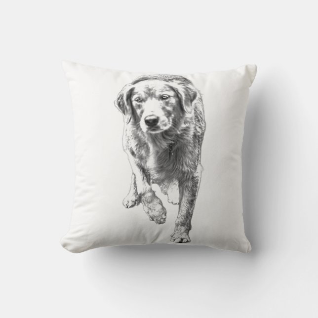 Retriever Texture in Fall Light Cushion (Front)