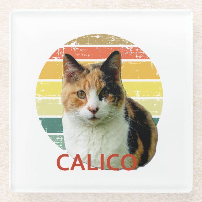 Retro 1980 Faded Sunset Calico Moggy Cat Art    Glass Coaster (Front)